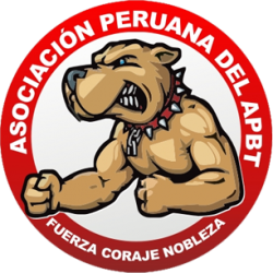 APBT Peru, apbtperu.com, Asociacion Peruana del American Pitbull Terrier, Delegacion Peruana, Pitbullperu, Pitbull Peru, Asociacion Peruana del APBT, pitbullperu.com, ADBA, ADBA Peru